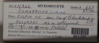 Image Associated With the Occurence